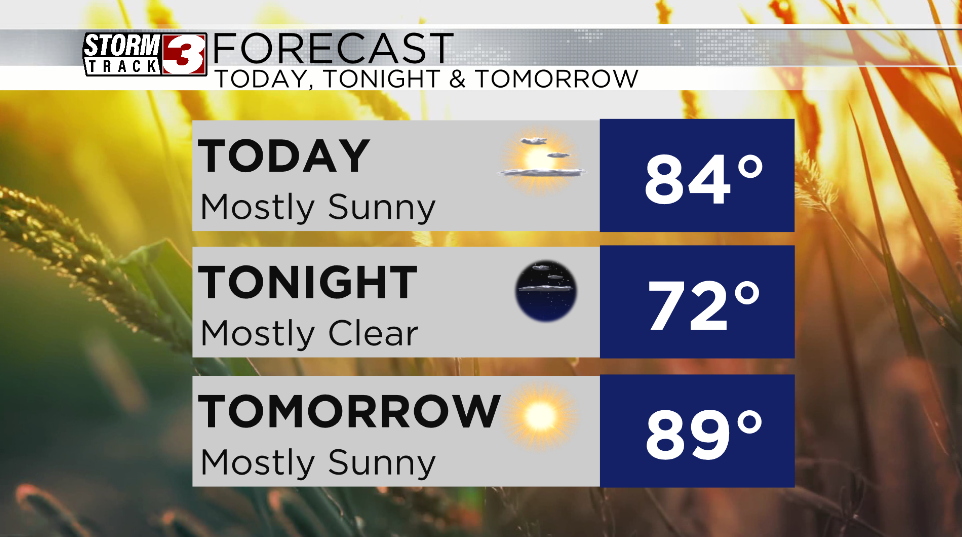 Forecast
